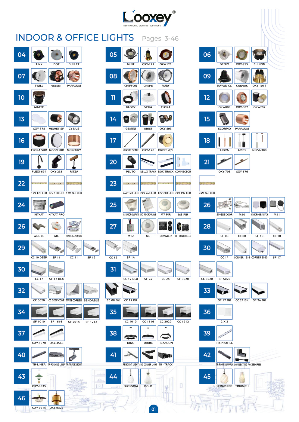 LOOXEY Architectural Downlight Series Showcase